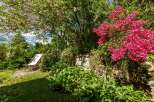 Discover a serene garden oasis, perfect for relaxation and enjoying nature.