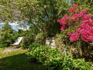 Discover a serene garden oasis, perfect for relaxation and enjoying nature.