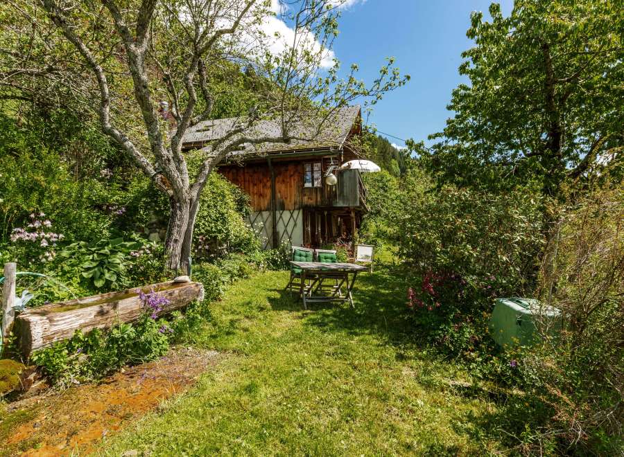 Discover a charming wooden cabin nestled in a lush, green garden.