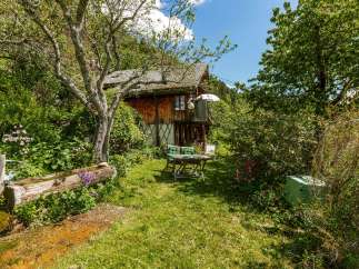Discover a charming wooden cabin nestled in a lush, green garden.