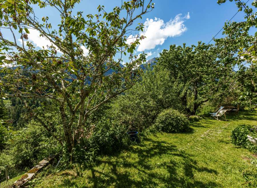 Discover a serene outdoor oasis with lush greenery and stunning mountain views.
