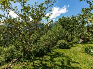 Discover a serene outdoor oasis with lush greenery and stunning mountain views.