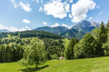 Experience the breathtaking beauty of the Swiss Alps with this stunning landscape.