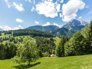 Experience the breathtaking beauty of the Swiss Alps with this stunning landscape.
