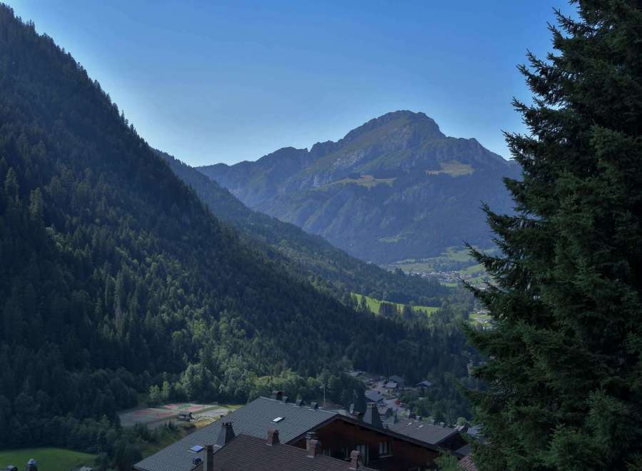 Discover breathtaking mountain views from this stunning property.