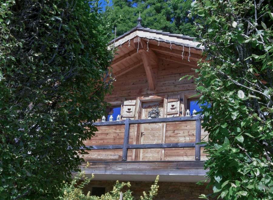 Discover the charm of this wooden chalet nestled amidst lush greenery.
