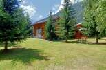 Escape to a stunning wooden chalet nestled amidst lush greenery.