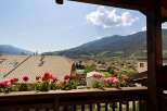 Enjoy breathtaking views from this charming balcony, adorned with vibrant flowers.