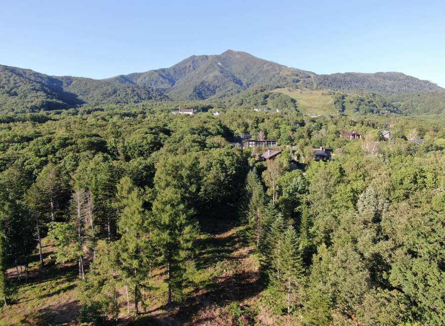 Nestled in a lush forest with mountain views, this property offers serene living.