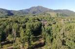 Nestled in a lush forest with mountain views, this property offers serene living.