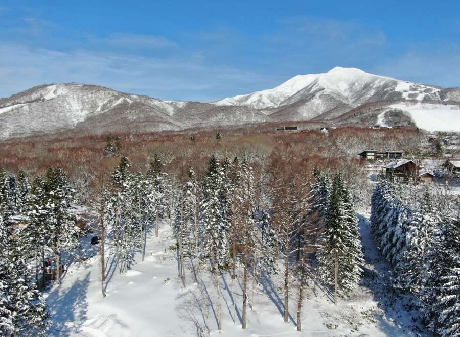 Nestled in a snowy forest, this stunning property offers breathtaking views of majestic snow-capped mountains.