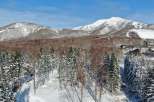 Nestled in a snowy forest, this stunning property offers breathtaking views of majestic snow-capped mountains.