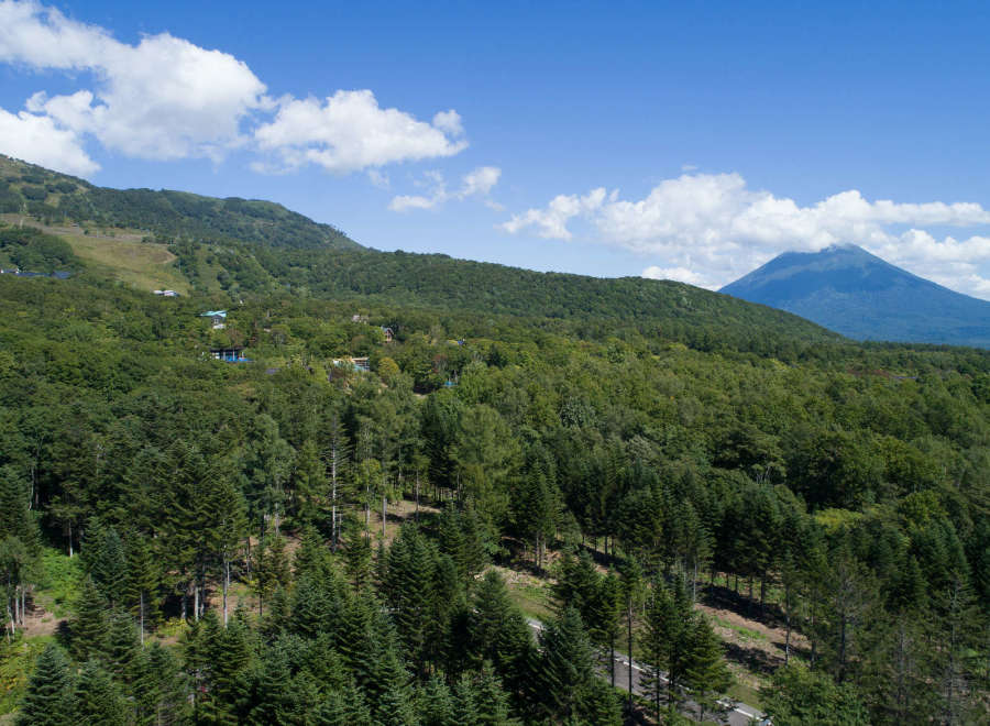 Nestled in a lush forest with mountain views, this property offers a serene escape.