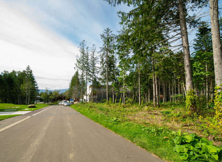 This property boasts a scenic road lined with lush greenery and towering pine trees, offering a tranquil and picturesque setting.