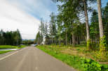 This property boasts a scenic road lined with lush greenery and towering pine trees, offering a tranquil and picturesque setting.