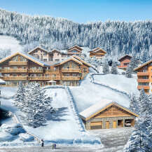 Discover luxurious chalets nestled in a breathtaking snowy mountain setting.