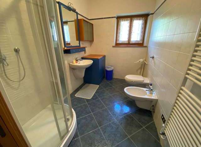 This charming bathroom features a modern shower, a stylish sink, and a convenient toilet.