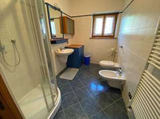 This charming bathroom features a modern shower, a stylish sink, and a convenient toilet.