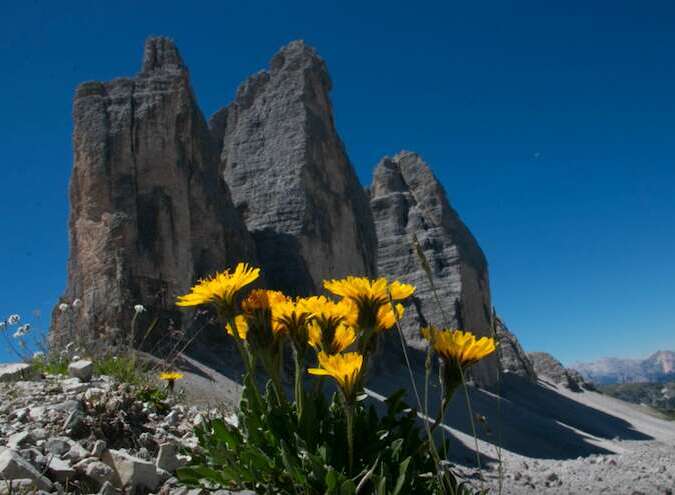 Explore the stunning beauty of the Dolomites with this breathtaking image.