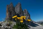Explore the stunning beauty of the Dolomites with this breathtaking image.