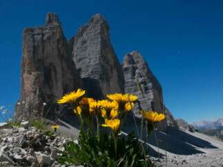 Explore the stunning beauty of the Dolomites with this breathtaking image.