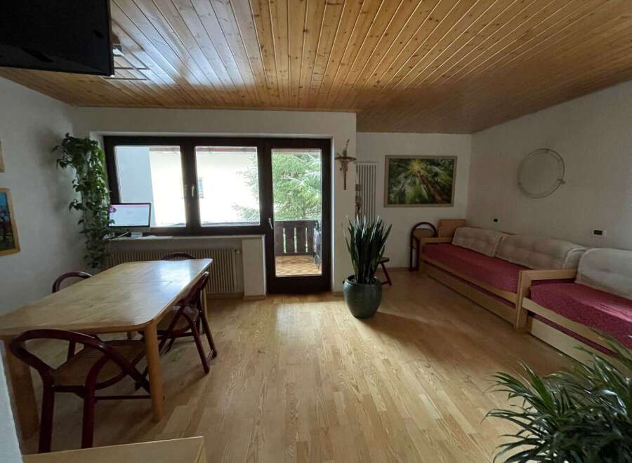 Discover a cozy living space with a warm wooden ceiling and flooring.