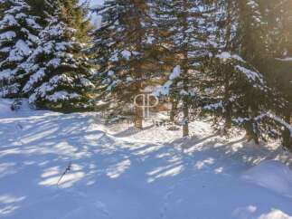 Experience the tranquility of winter in this stunning property.