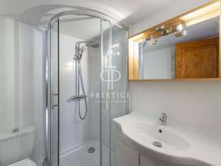 Discover a modern bathroom with a sleek shower enclosure and a stylish vanity.