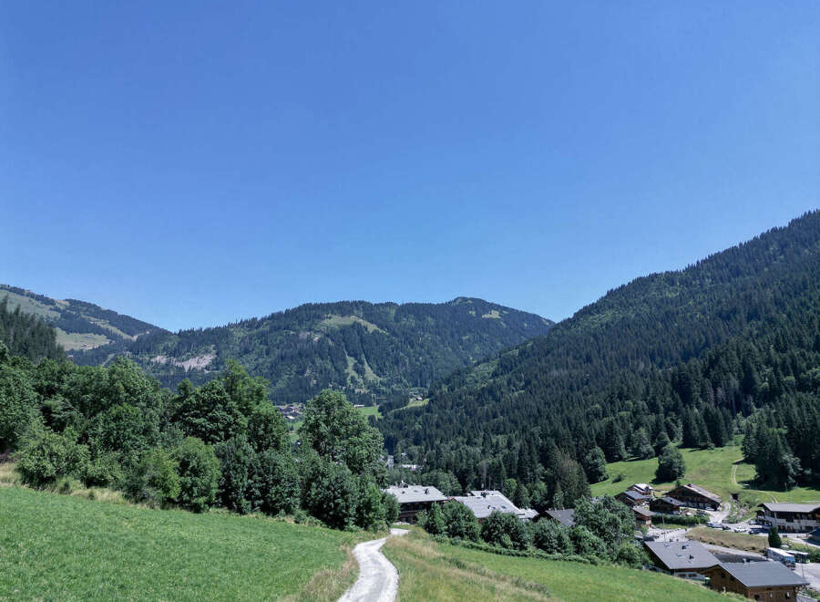 Discover the beauty of this stunning mountain property, nestled amidst lush greenery and towering trees.