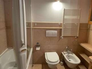This bathroom features a modern design with a sleek shower enclosure and a comfortable toilet.