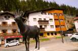 Discover Hotel Oswald, nestled in a serene locale with stunning mountain views.