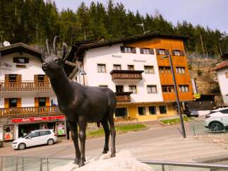 Discover Hotel Oswald, nestled in a serene locale with stunning mountain views.