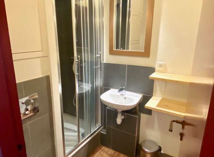 Discover a cozy bathroom with a modern shower and a sleek sink.