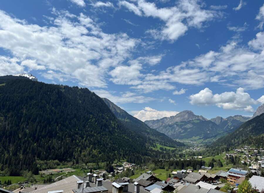 Breathtaking mountain views await from this charming property.