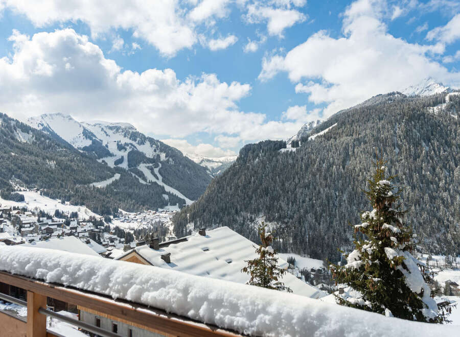 Enjoy breathtaking mountain views from this stunning property.
