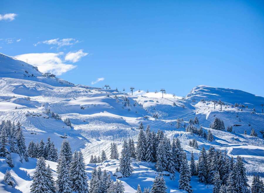 Experience the ultimate winter wonderland in this stunning mountain landscape.