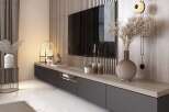 This modern living room features a sleek, floating TV console with ample storage.