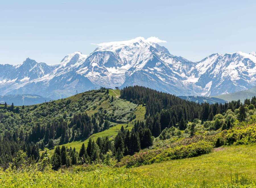 Experience the breathtaking beauty of the mountains, with lush green hills and majestic snow-capped peaks.
