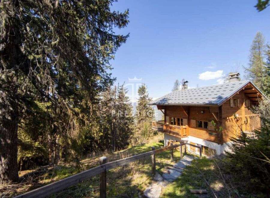 Discover a stunning wooden chalet nestled in a serene, wooded landscape.