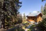 Discover a stunning wooden chalet nestled in a serene, wooded landscape.