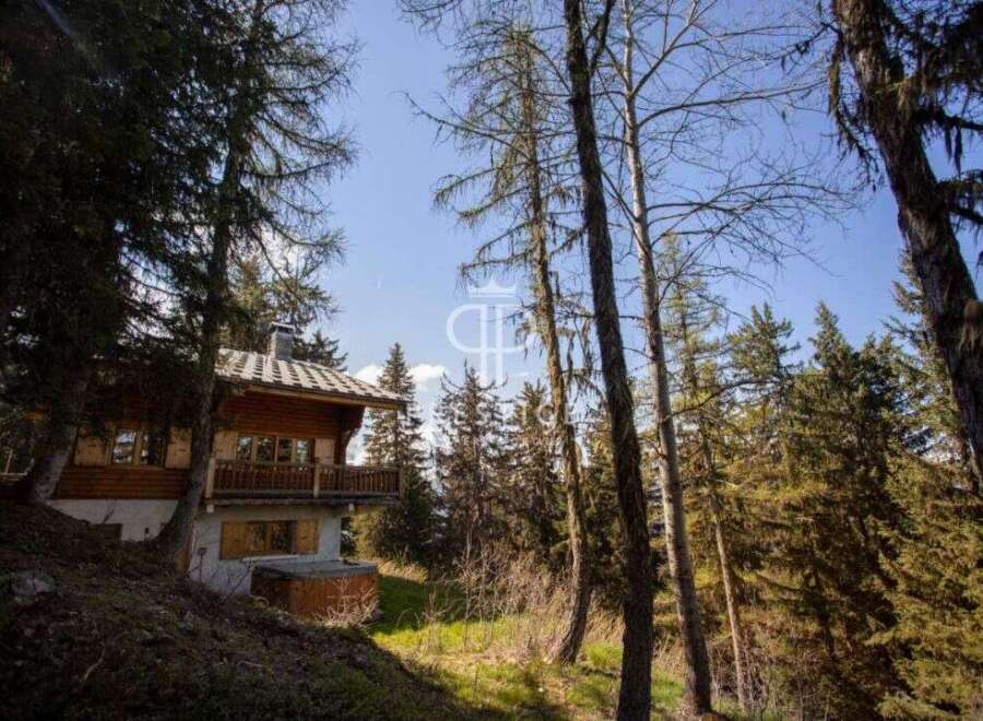 Discover a charming wooden chalet nestled in a serene forest setting.