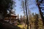 Discover a charming wooden chalet nestled in a serene forest setting.