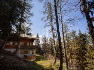Discover a charming wooden chalet nestled in a serene forest setting.