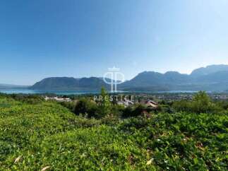 Discover breathtaking views from this stunning property.