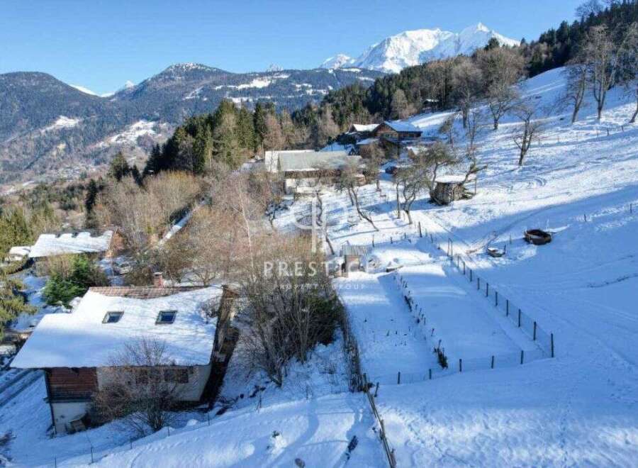 Discover a stunning mountain retreat nestled in a picturesque winter wonderland.