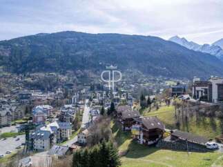 Discover breathtaking mountain views from this stunning property.