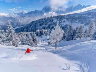 Experience the ultimate winter wonderland in this stunning property.