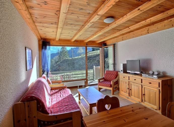 Beautiful ski-in ski-out apartment located in Les Crosets ski resort, Switzerland